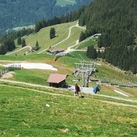 Ferienhutte Waldheim Hébergement de vacances Hopfgarten im Brixental